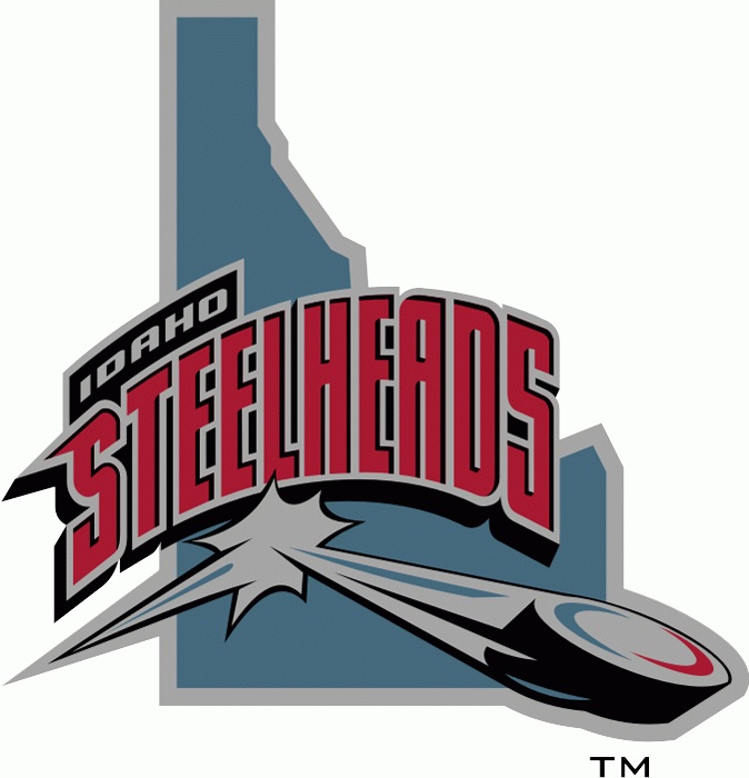 idaho steelheads 2004-2006 alternate logo iron on transfers for T-shirts